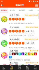 王中王493333中特1肖,王中王493333中特1肖的魅力与探索