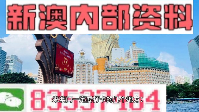 2024年新澳门今晚开什么,警惕虚假预测，2024年新澳门今晚开什么背后的风险与挑战