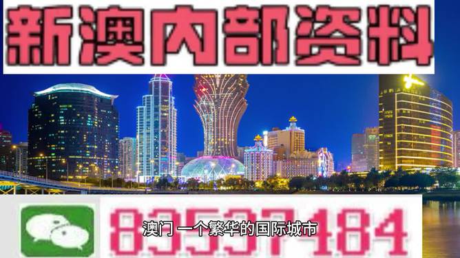 澳门精准正版资料63期,澳门精准正版资料第63期深度解析与探讨