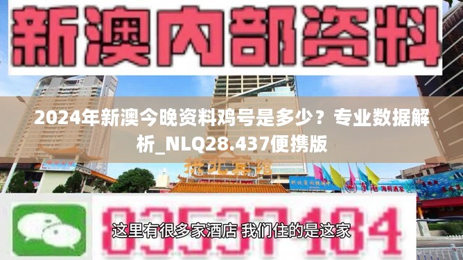 2024新澳今晚资料鸡号几号,关于新澳今晚资料鸡号的探讨——预测与解读