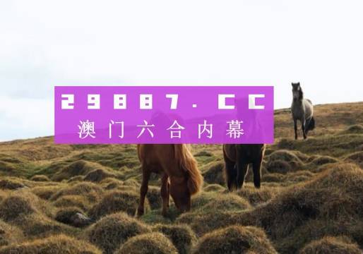 新澳门开奖结果,新澳门开奖结果，探索与解析