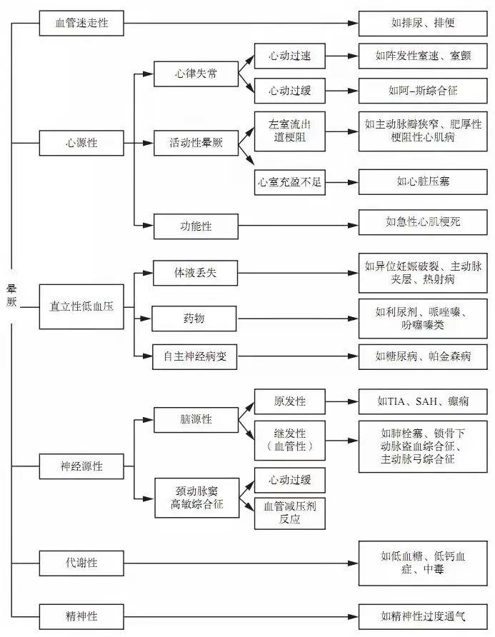 2024澳家婆一肖一特,揭秘2024澳家婆一肖一特，神秘背后的故事