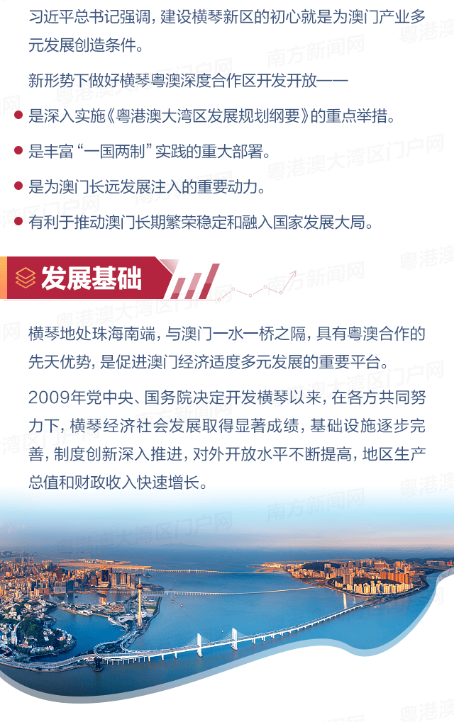 澳门天天开好彩大全65期,澳门天天开好彩大全深度解析，第65期的精彩瞬间与背后故事