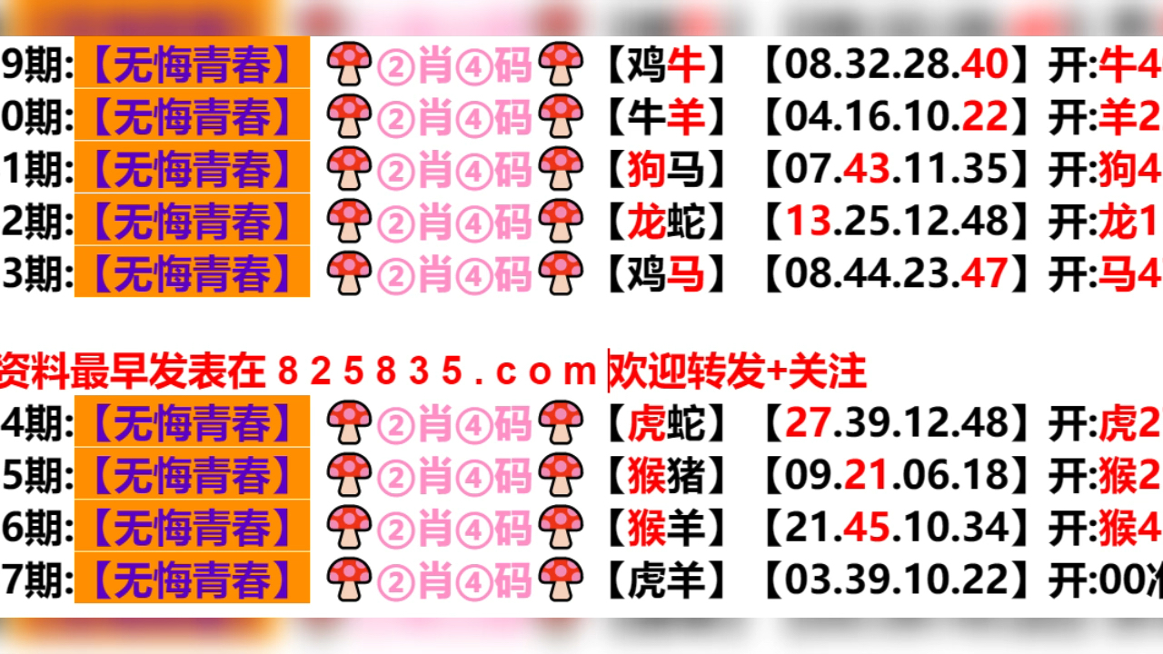 2024新澳门天天开好彩大全孔的五伏,探索新澳门2024年天天开好彩大全孔的五伏奥秘