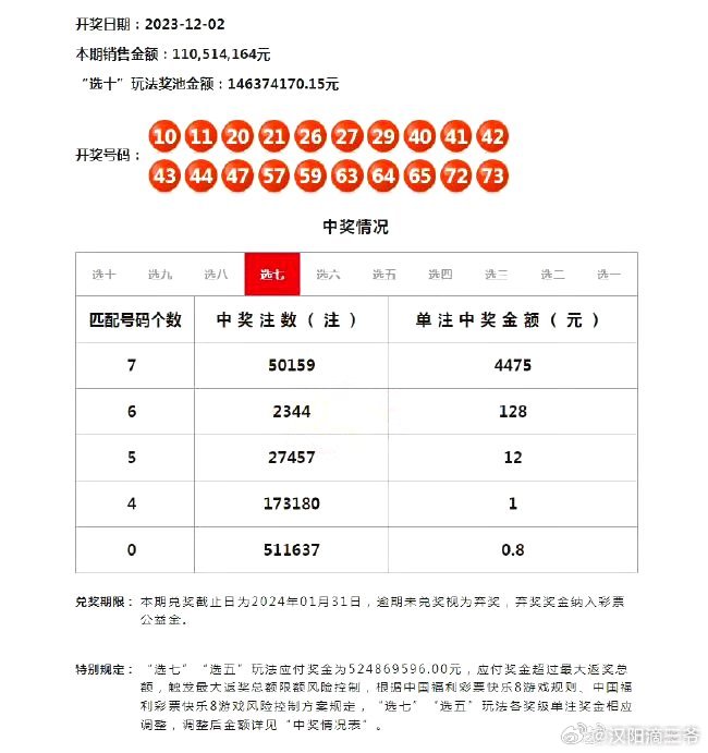 494949最快开奖结果+,探索494949最快开奖结果的世界