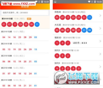 2025澳门王中王100%期期中,澳门王中王彩票，探索未来的期期中的秘密与策略（2025展望）