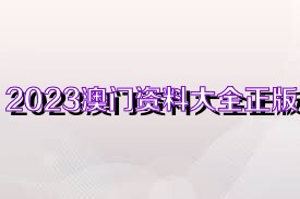 2025香港资料大全正版资料图片,香港资料大全，探索充满活力的香港城市 2025正版资料图片详解