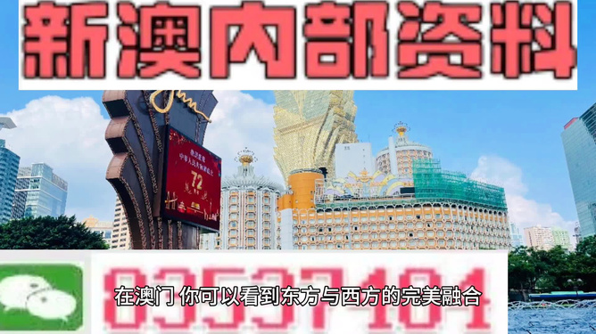 2025新澳免费资料澳门钱庄,探索澳门钱庄，新澳免费资料与未来展望