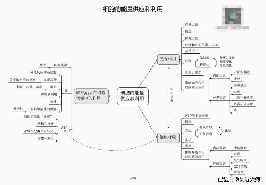 白小姐三肖三期必出一期开奖虎年,白小姐三肖三期必出一期,白小姐三肖三期必出一期开奖虎年——揭秘神秘预言背后的真相