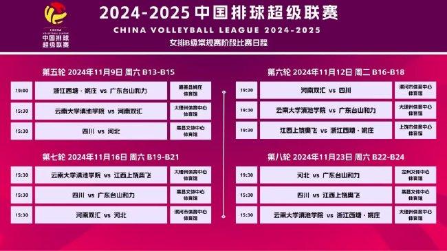 2025澳门正版开奖结果209,澳门正版开奖结果，探索与预测（2025年展望）